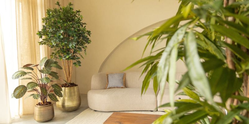 Kleine en grote kunstplanten in woonkamer met bank