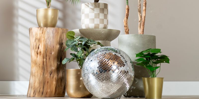 zo creëer je de ideale pot-plant combinatie