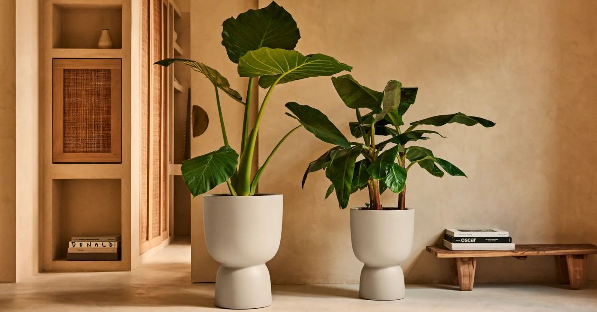 Waarom kunstplanten dé interieurtrend van nu zijn (+ 7 creatieve stylingtips)