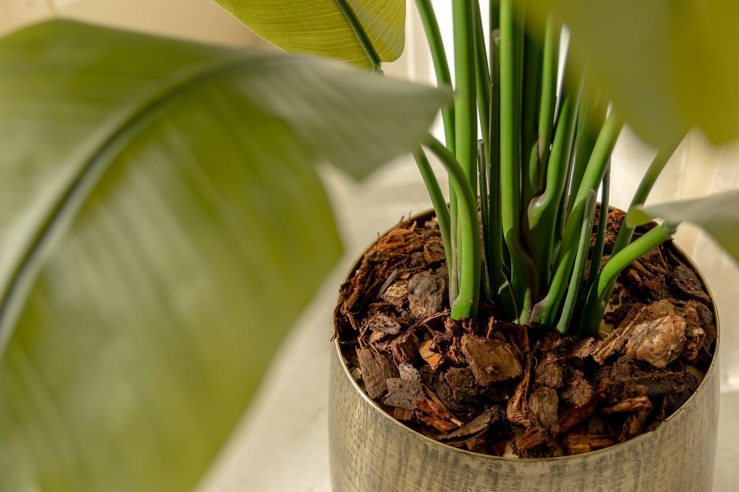 Zo houd jij jouw kunstplanten schoon