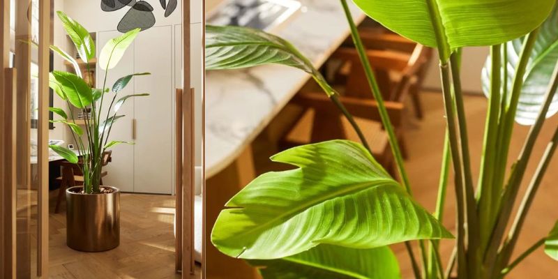 Tips voor het onderhouden van kunstplanten