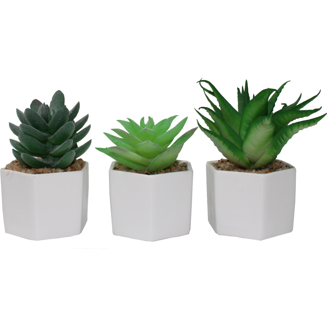 Maak jouw huis een stuk gezelliger met een Kunst vetplant. Een kunstvetplant heeft geen zon of verzorging nodig.