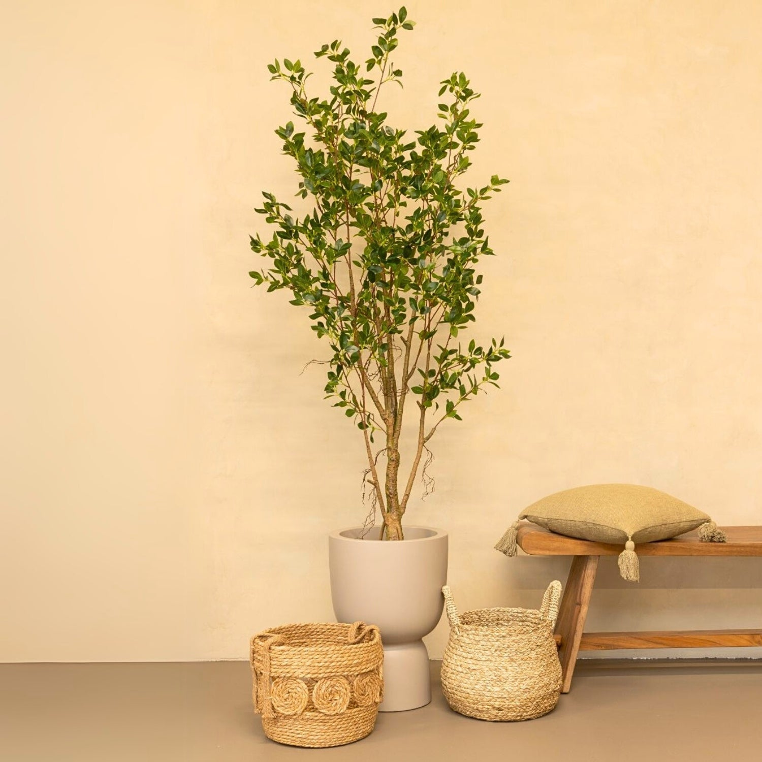 Categorie Ficus Kunstbomen