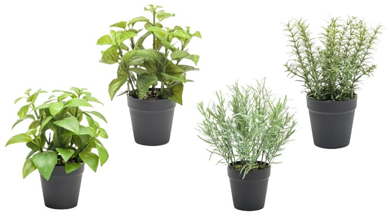 Kunst Kruidenplantjes