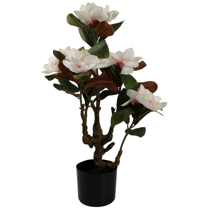 Kunst Magnolia