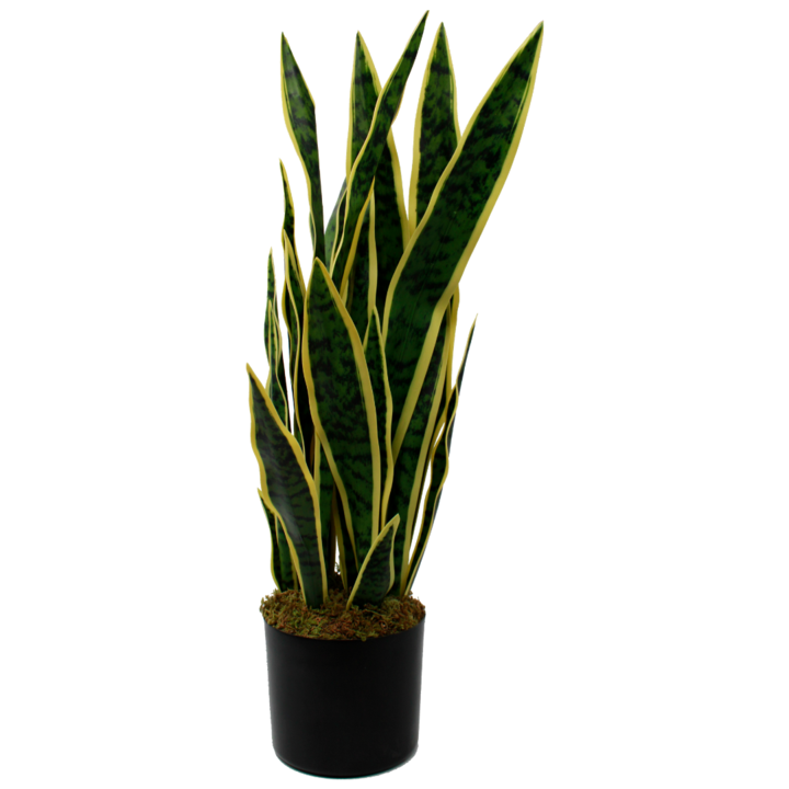 Sansevieria kunstplanten kopen is een goede keuze voor degene zonder groene vingers