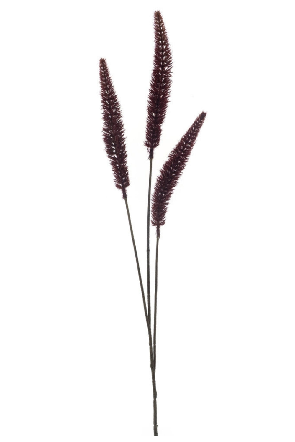 Staartgras Kunsttak Burgundy 88cm