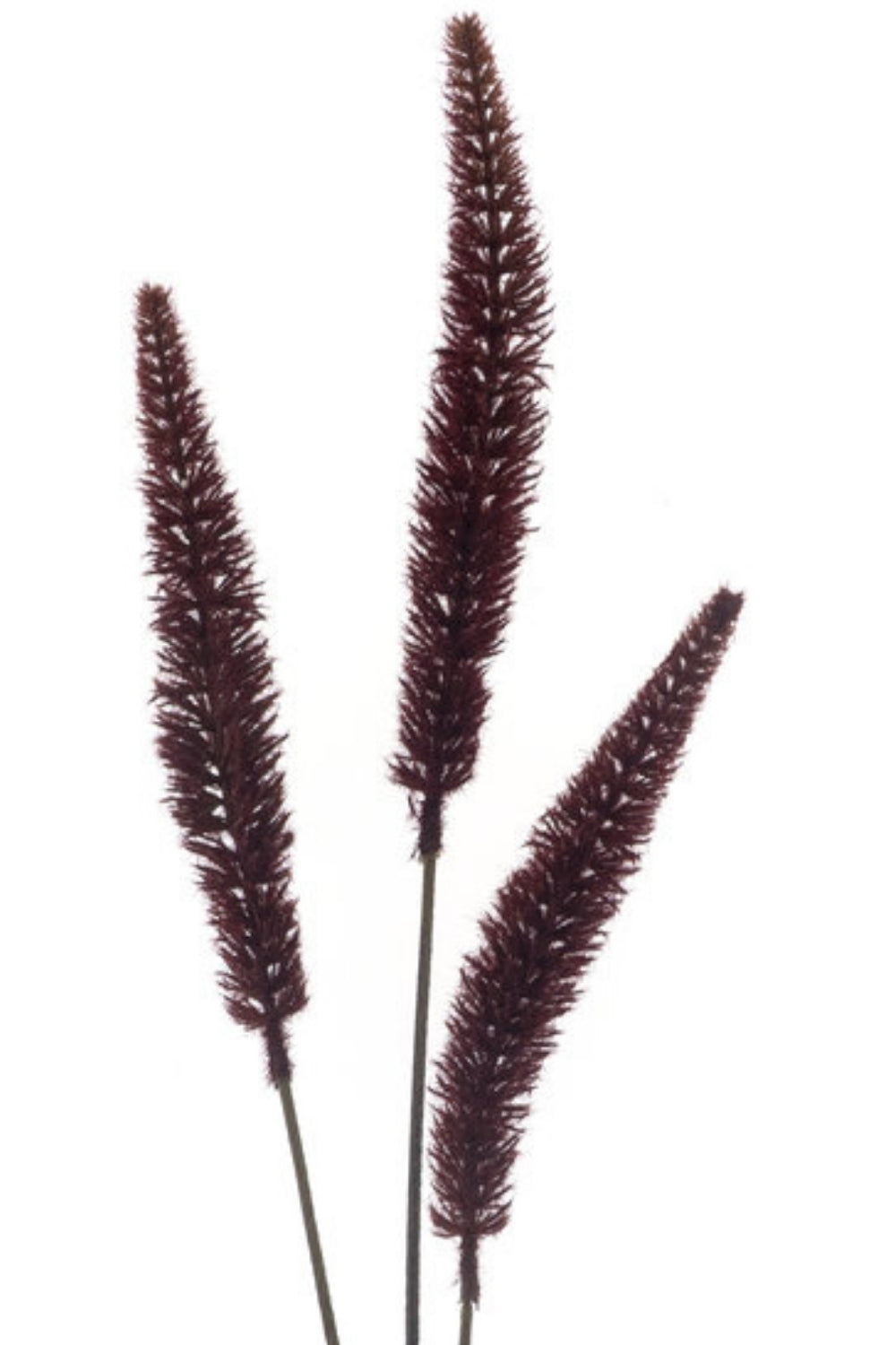 Staartgras Kunsttak Burgundy 88cm