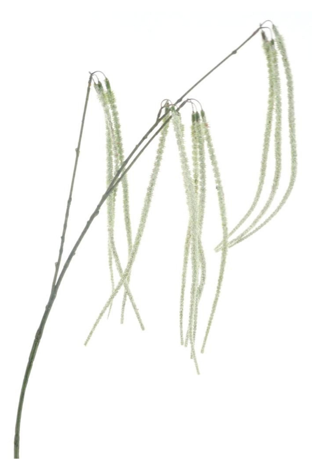 Wilde Amaranthus Kunsttak creme 110cm