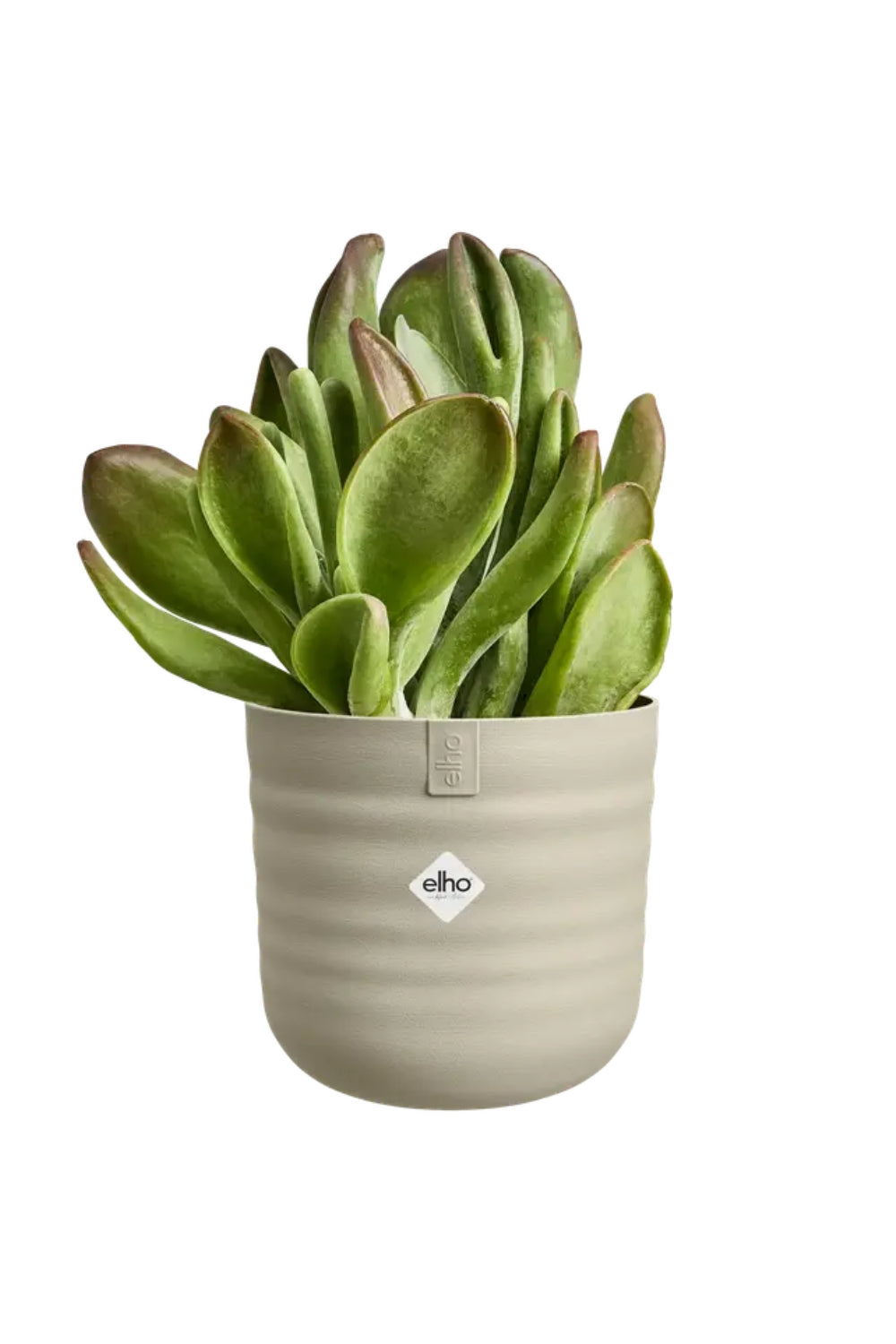 Bloempot Elho Dune 14cm Paddenstoel Beige