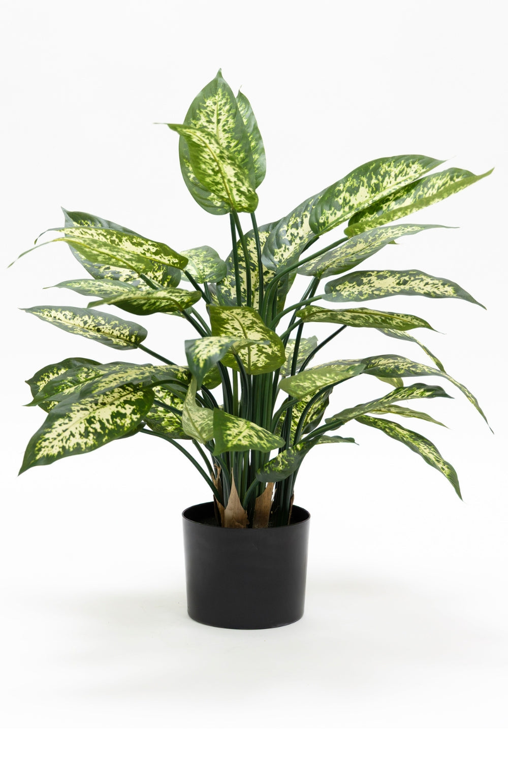 Dieffenbachia Kunstplant 70cm