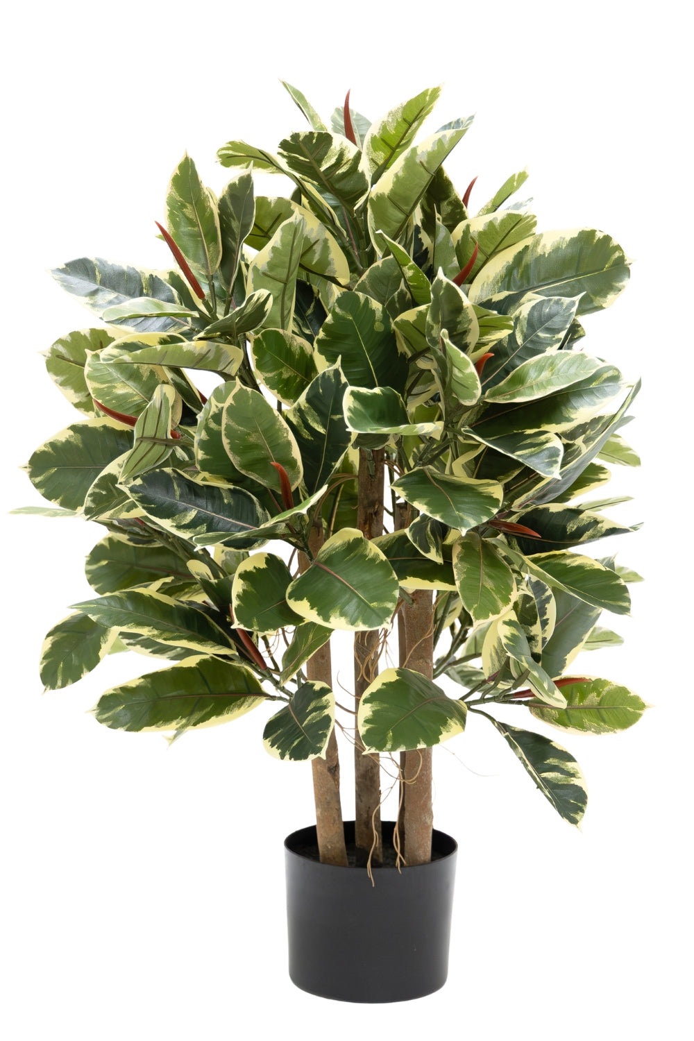 Ficus Elastica Kunstplant 90cm