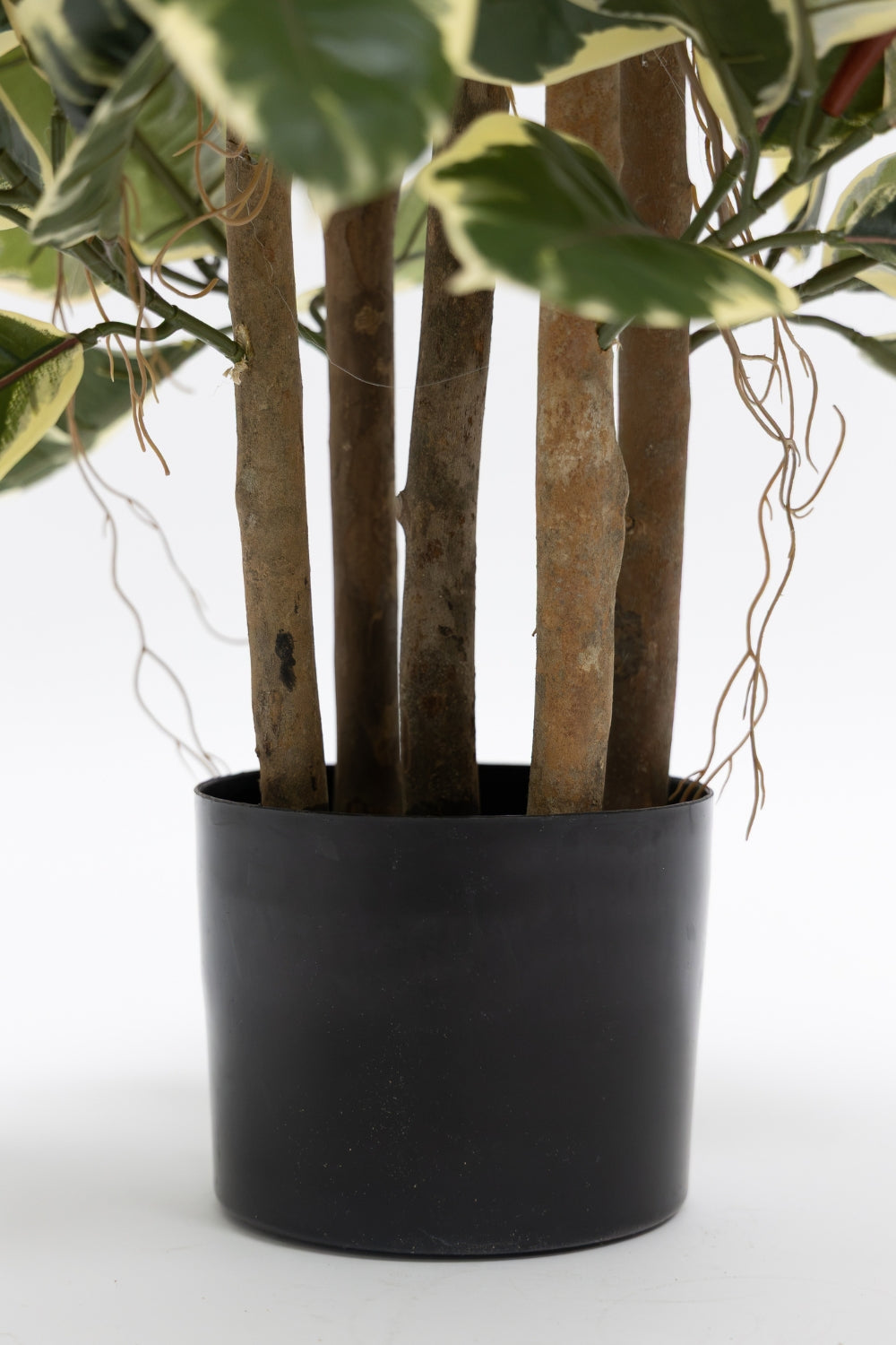 Ficus Elastica Kunstplant 90cm
