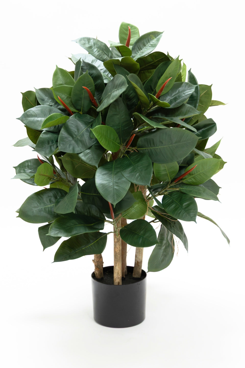 Ficus Elastica Kunstplant 90cm