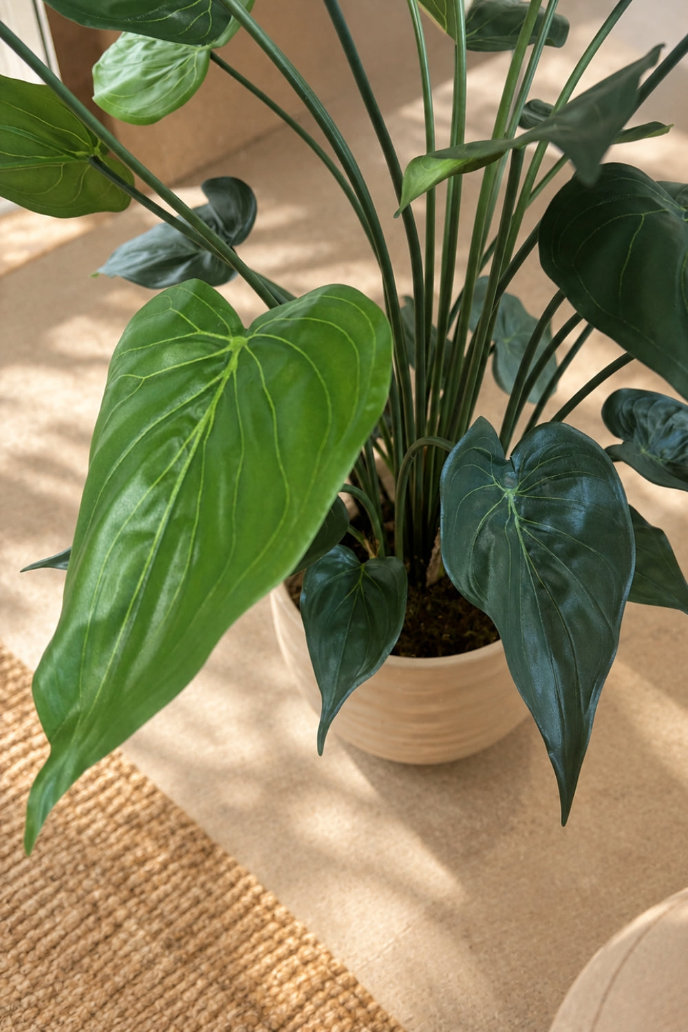 Alocasia Kunstplant 70cm