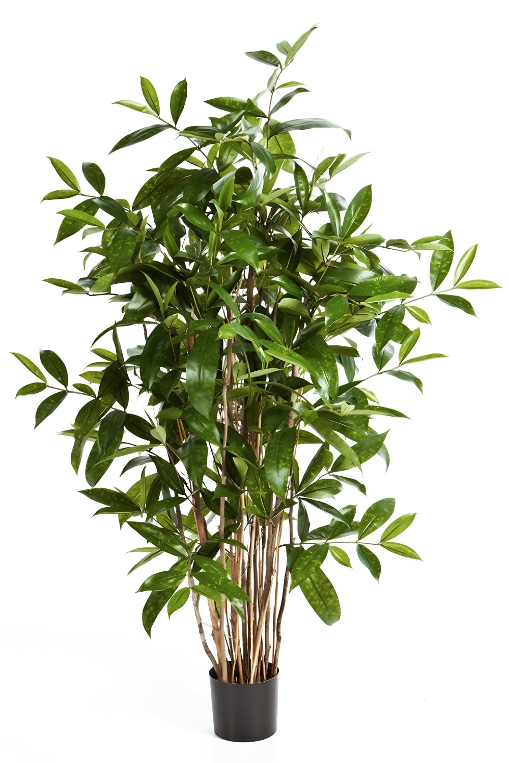 Dracaena Surculosa Kunstplant 120cm