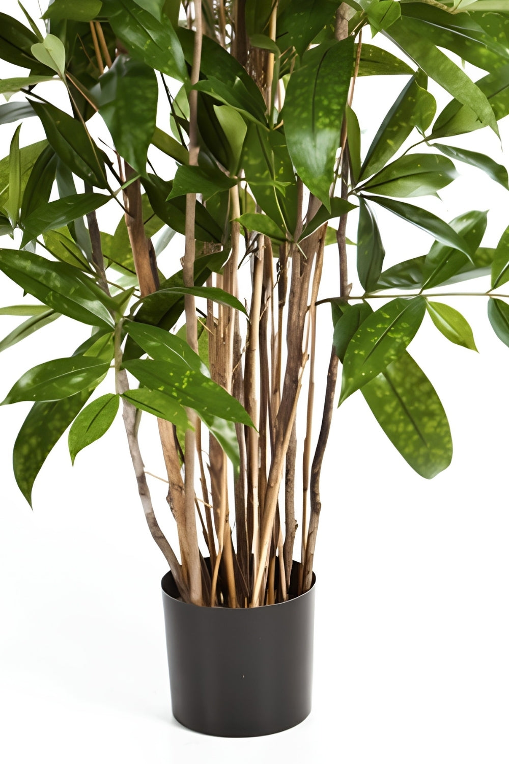 Dracaena Surculosa Kunstplant 120cm