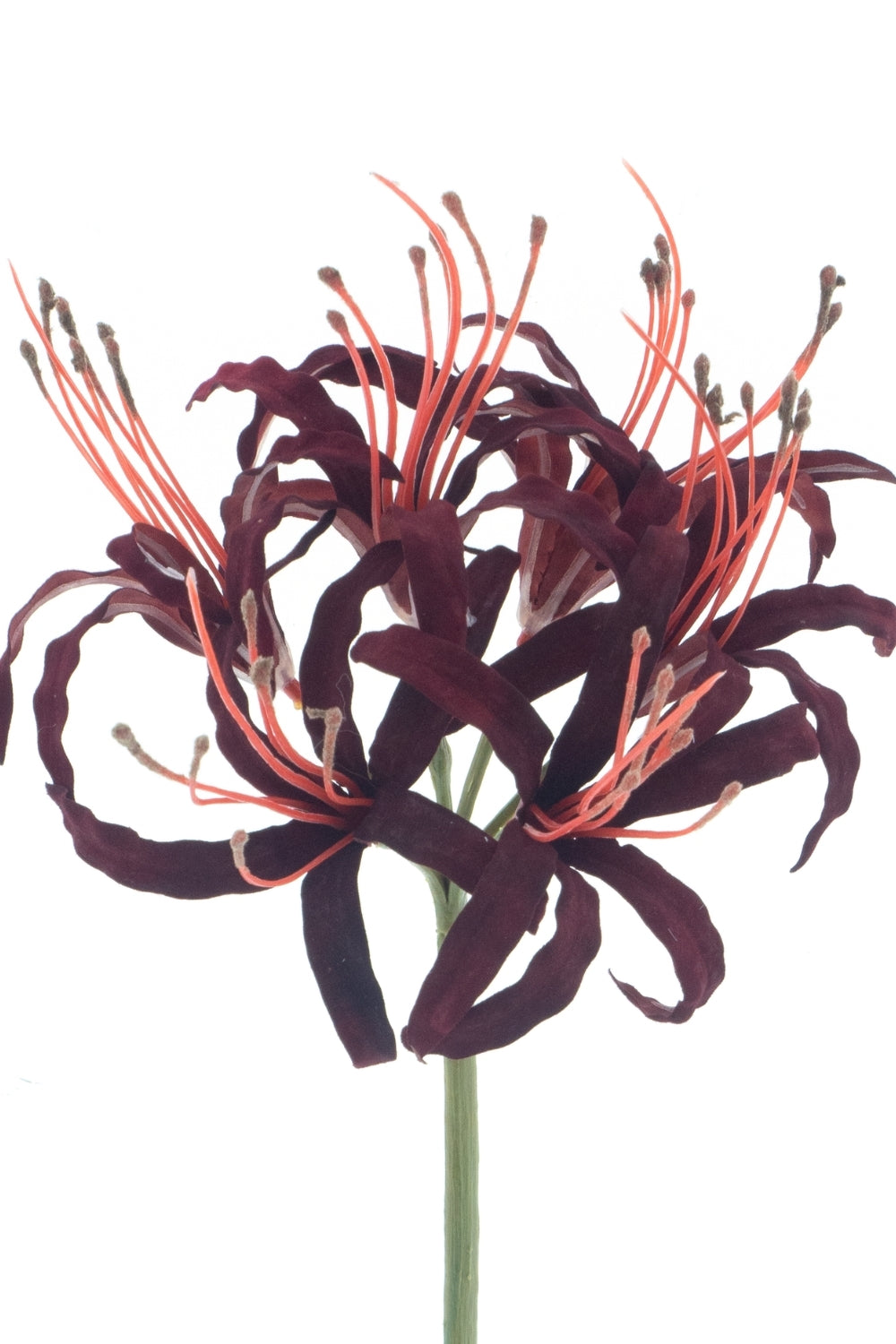 Nerine Kunstbloem Burgundy 79cm