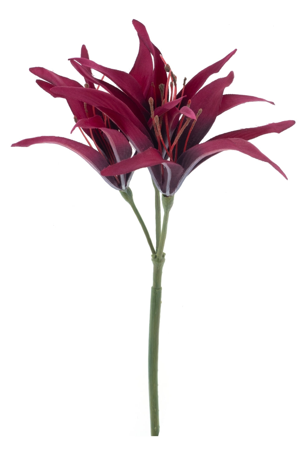 Hoya Kunstbloem Rood 79cm