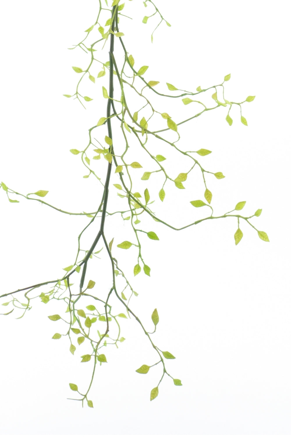 Lonicera Kunstslinger 140cm