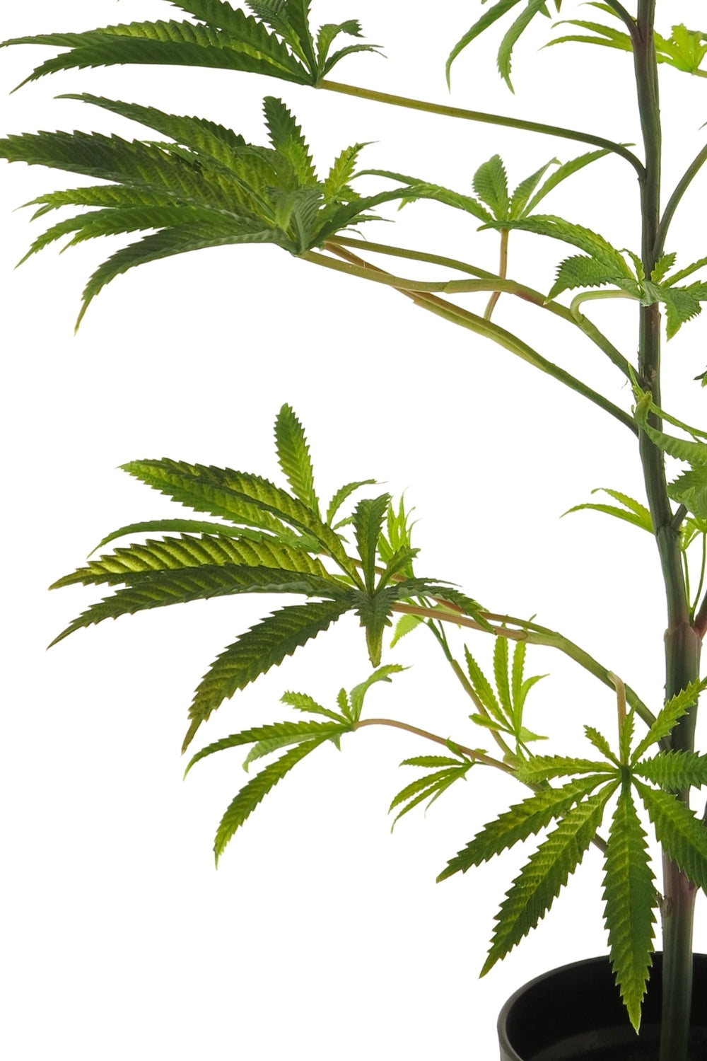 Kunst Wietplant 90cm