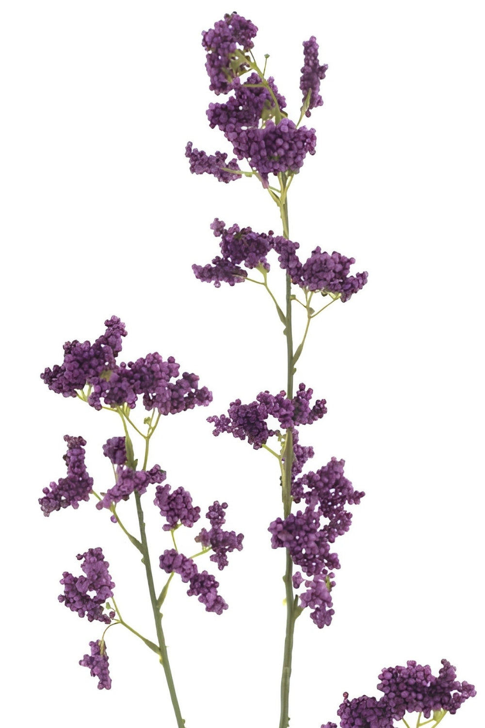 Achillea Kunsttak Aubergine 110cm