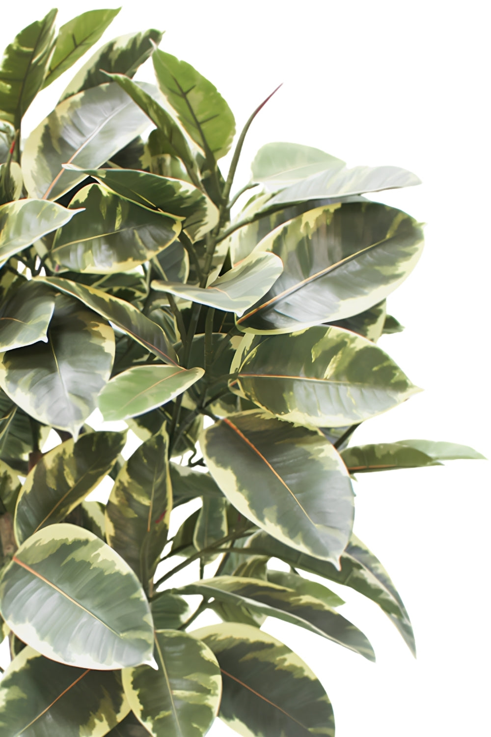 Ficus Elastica Kunstplant 90cm