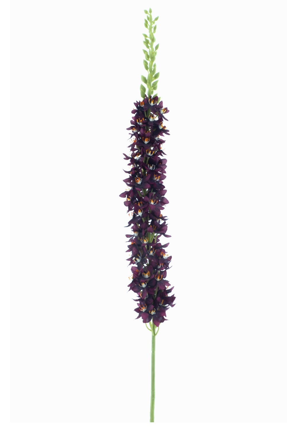 Eremurus Kunstbloem Paars 105cm