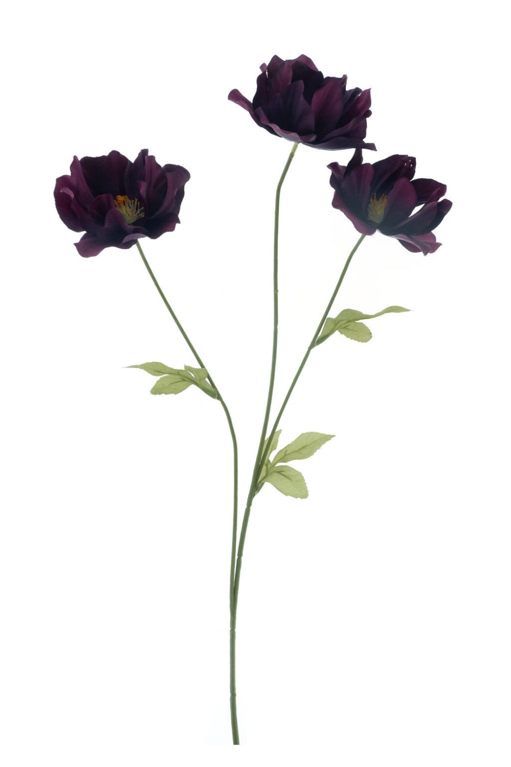 Wilde Lotus Paars 64cm