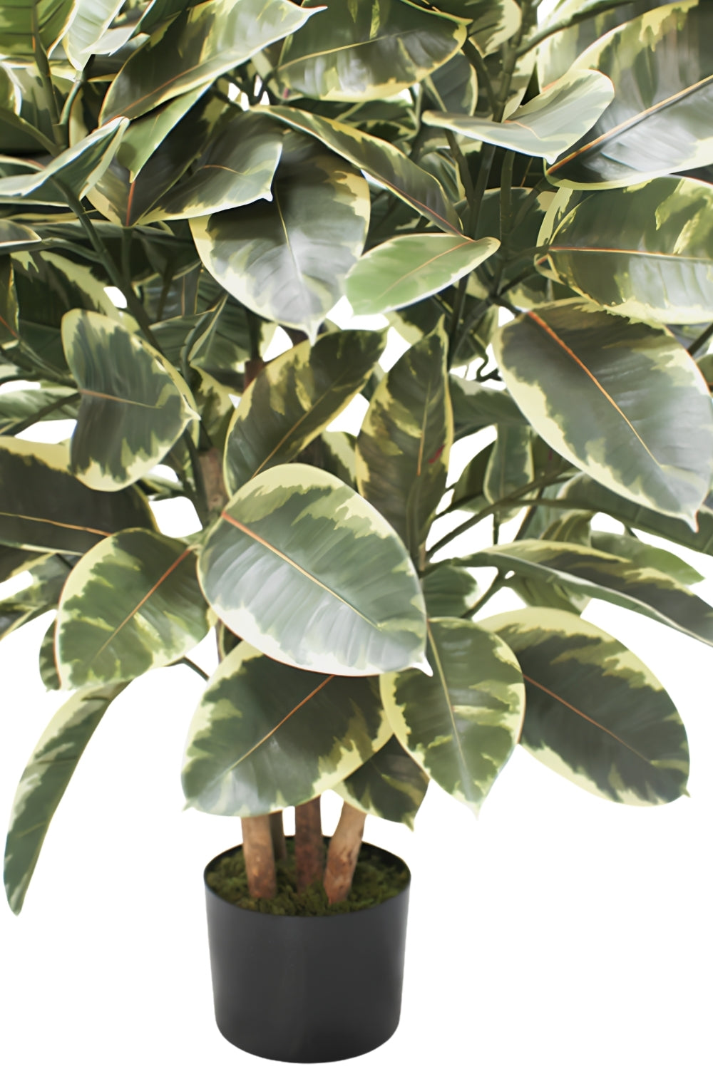 Ficus Elastica Kunstplant 90cm