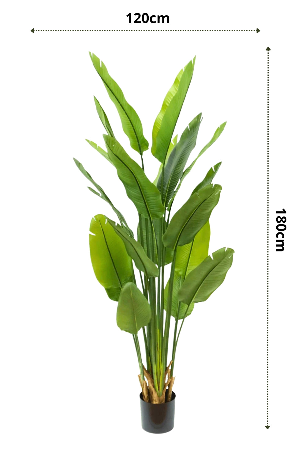 Strelitzia Kunstplant 180cm