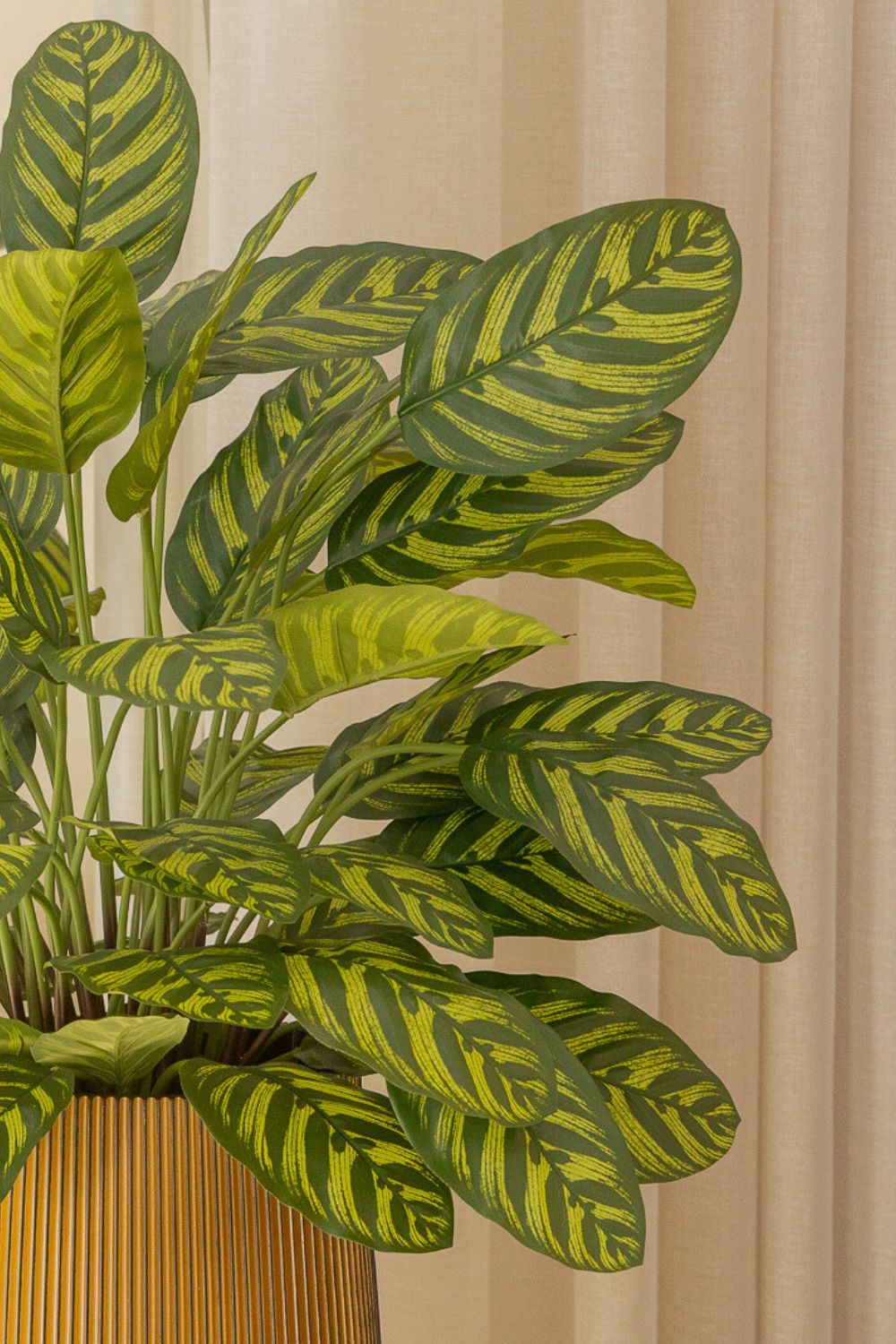 Calathea Kunstplant 75cm
