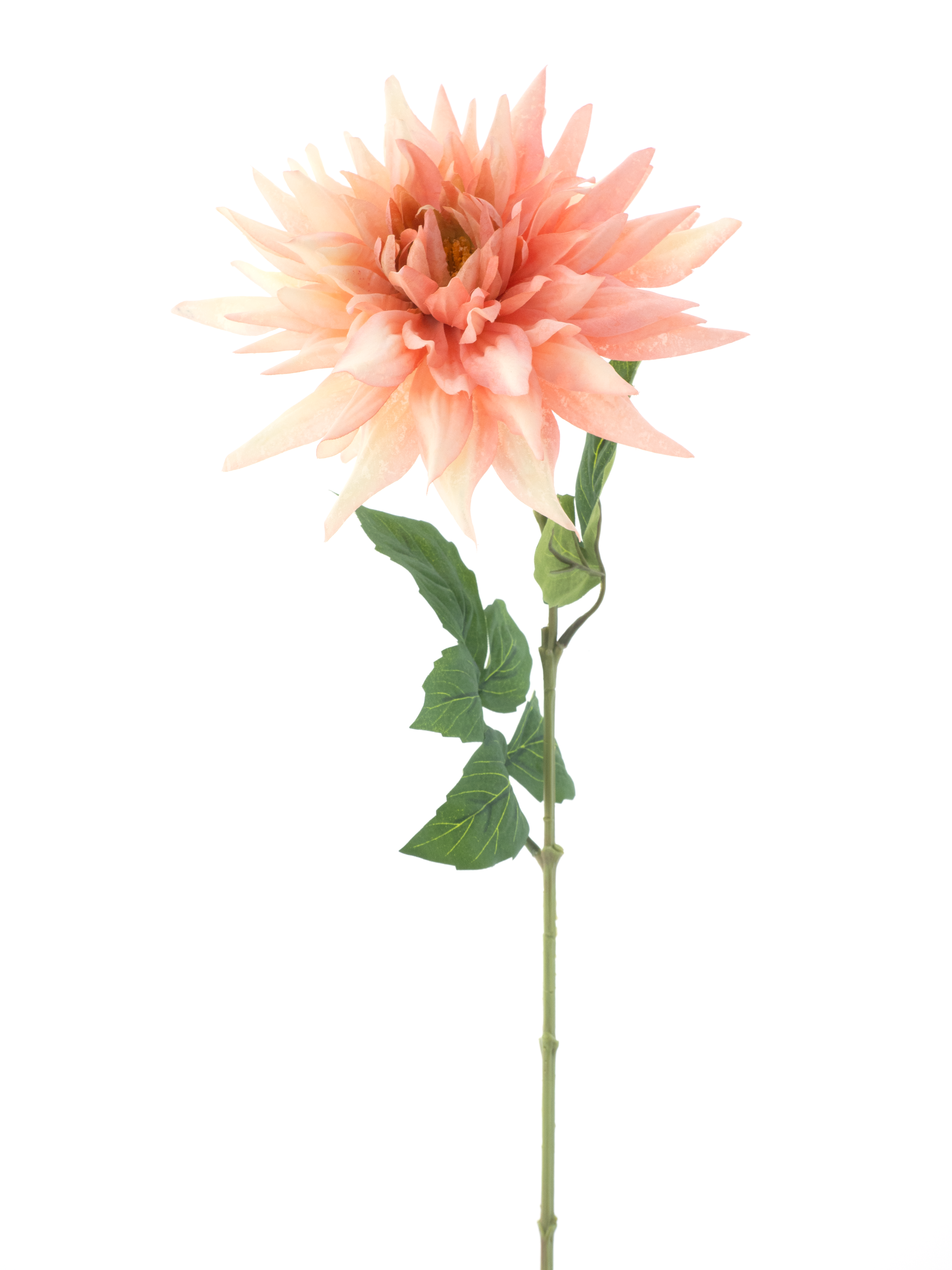 Wilde Dahlia Roze 63cm