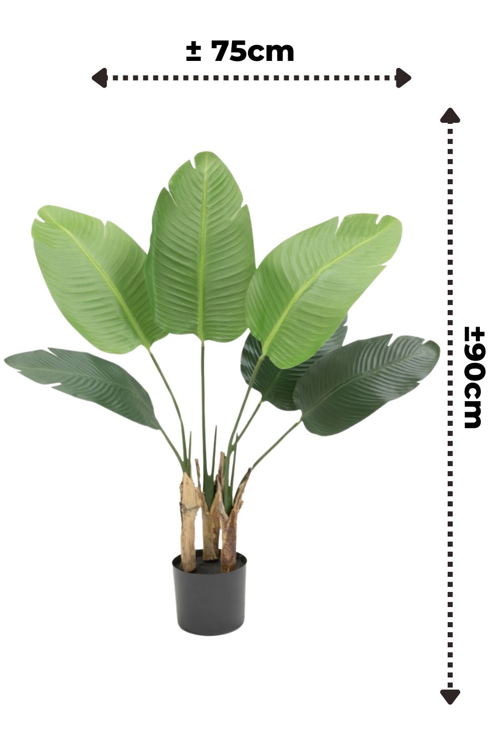 afmetingen strelitzia kunstplant 90cm