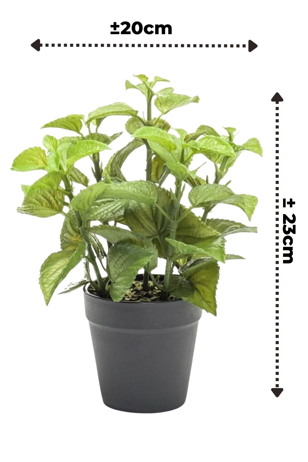 afmetingen munt kunstplant 23cm