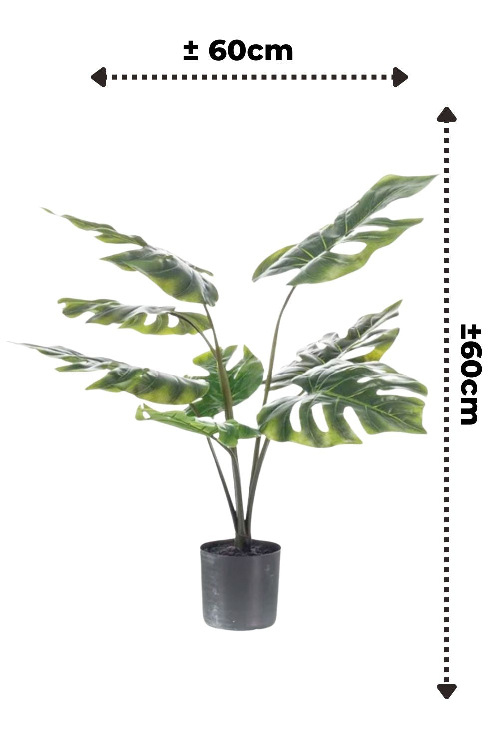 Afmetingen monstera kunstplant 60cm