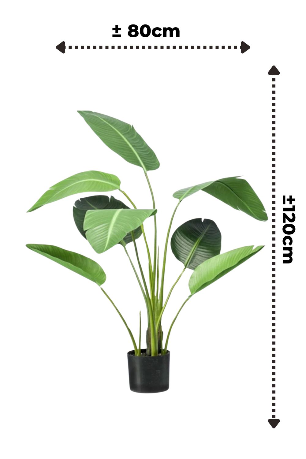 Strelitzia Kunstplant 120cm