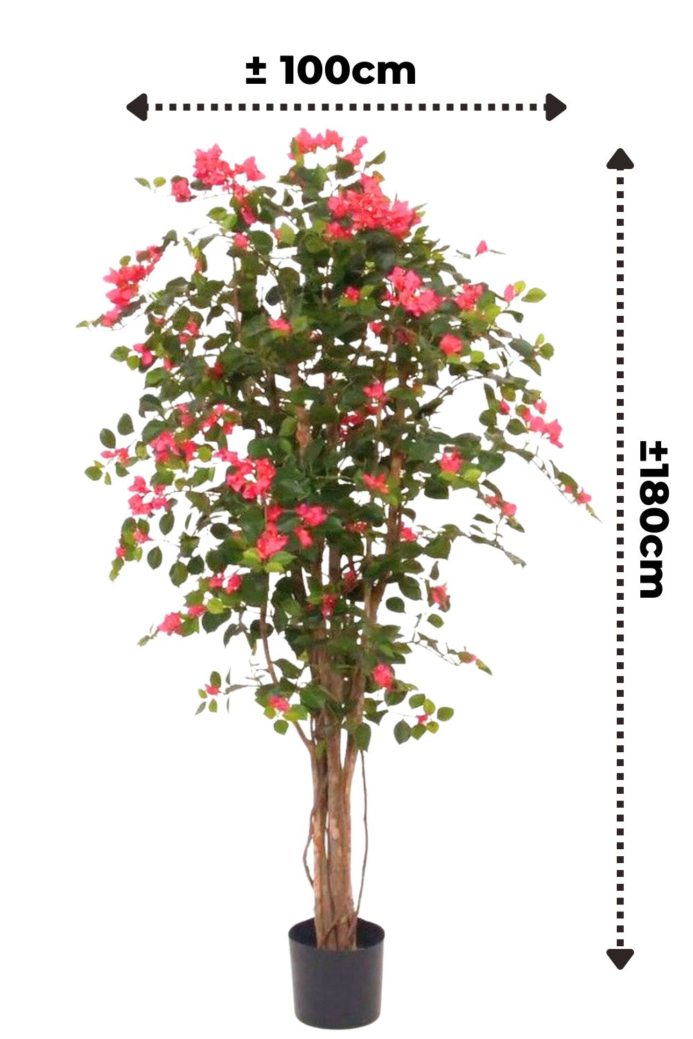 afmetingen bougainvillea kunstplant 180cm