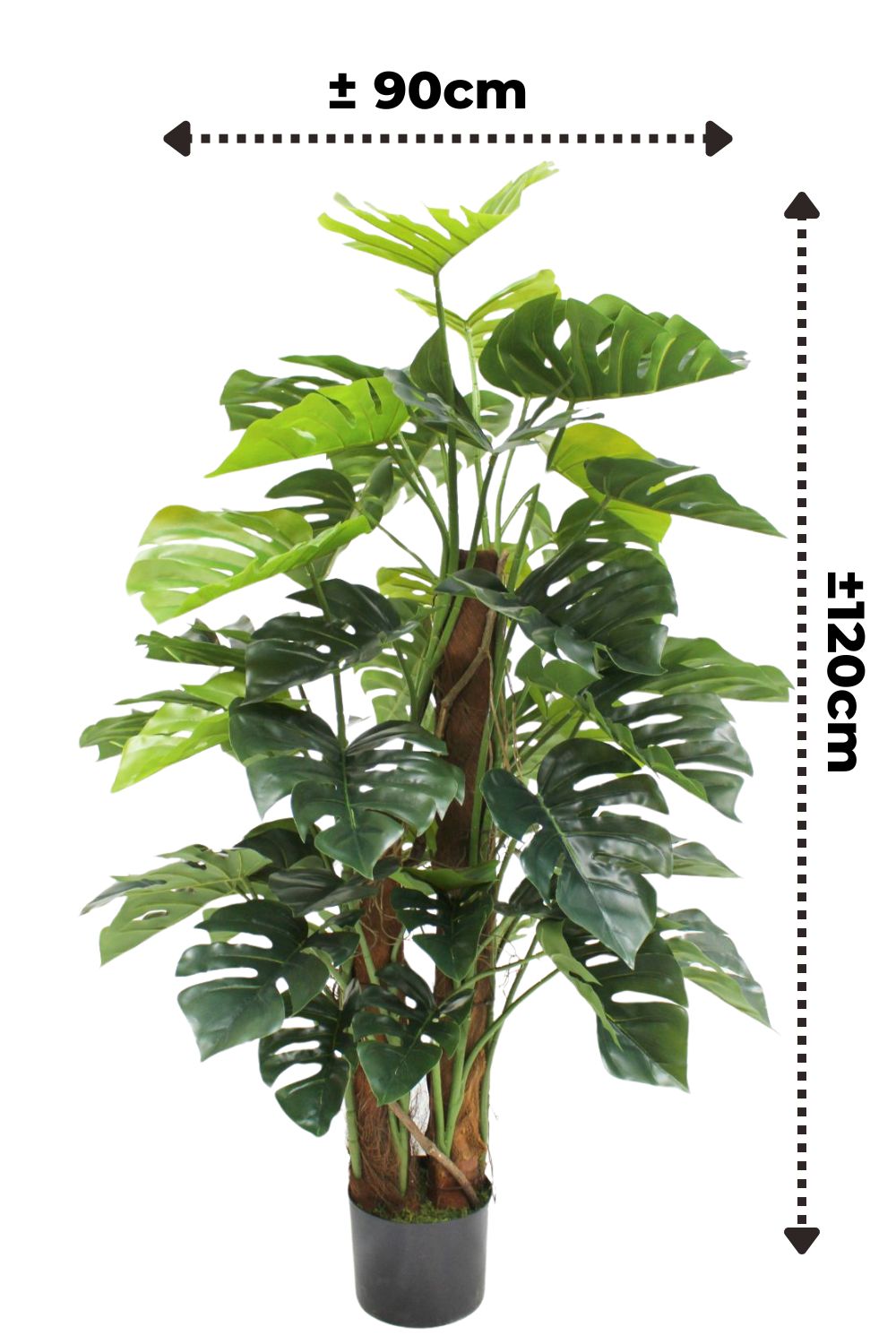 afmetingen monstera kunstplant 120cm
