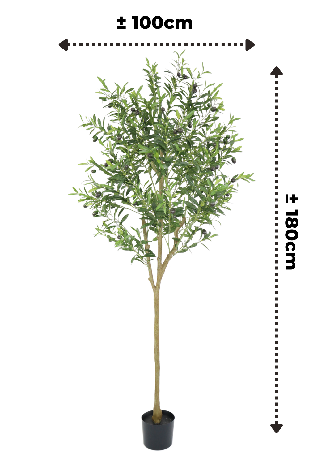 Maatindicatie kunst Olijfboom 180cm