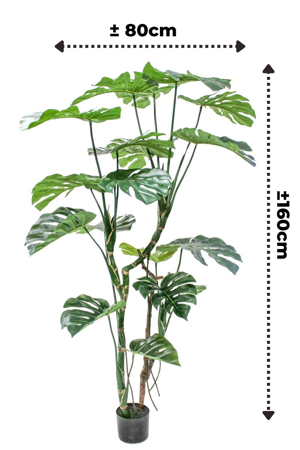 Afmetingen monstera kunstplant 160cm