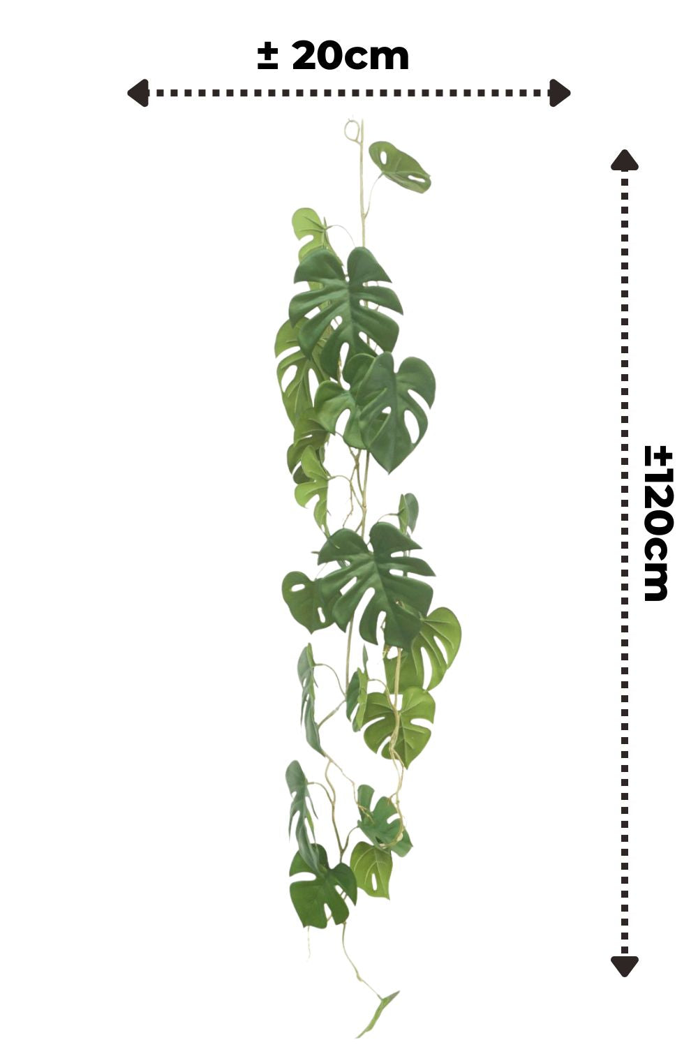 afmetingen monstera kunstslinger 120cm