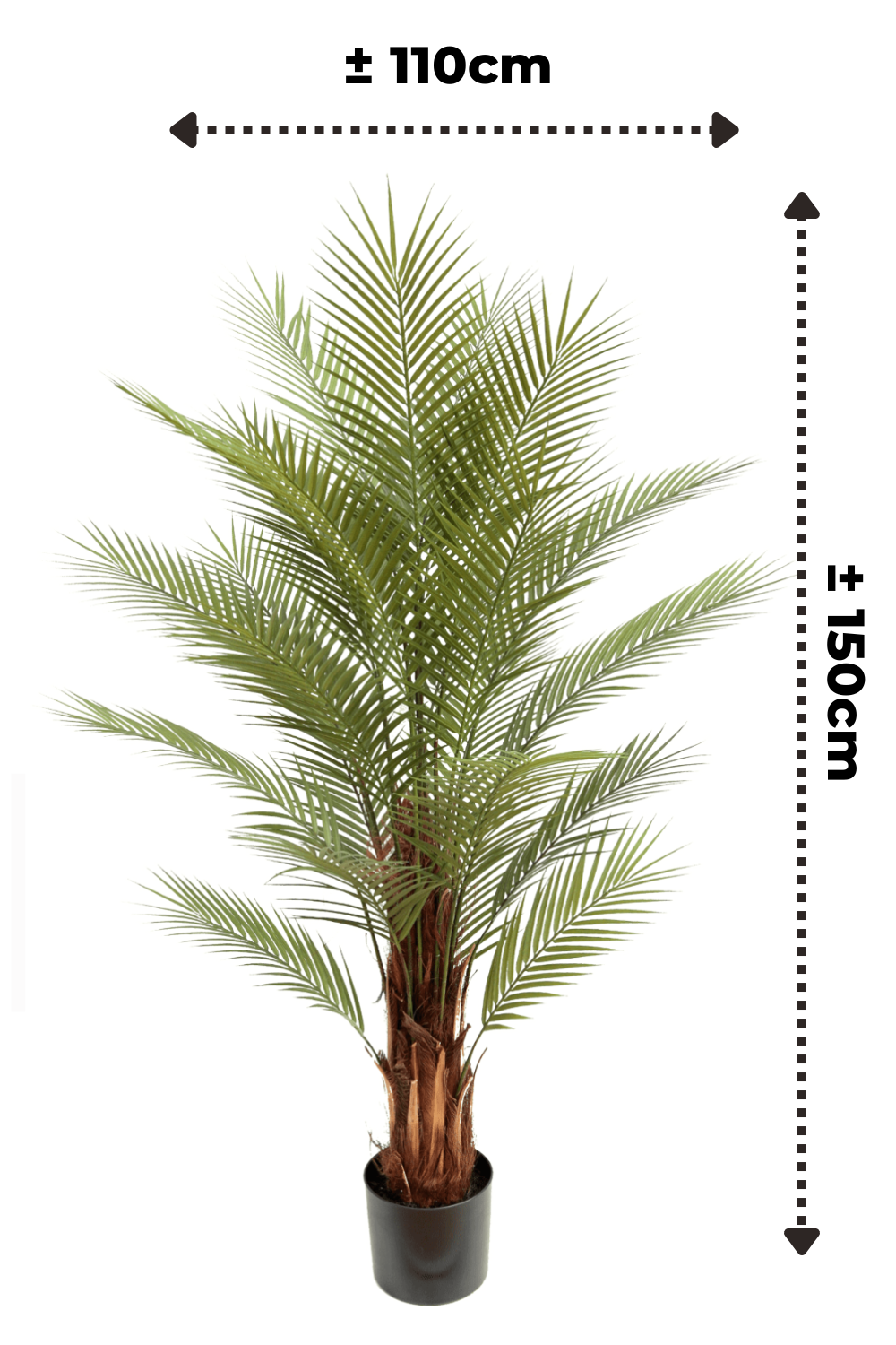 afmetingen kunstpalm 150cm
