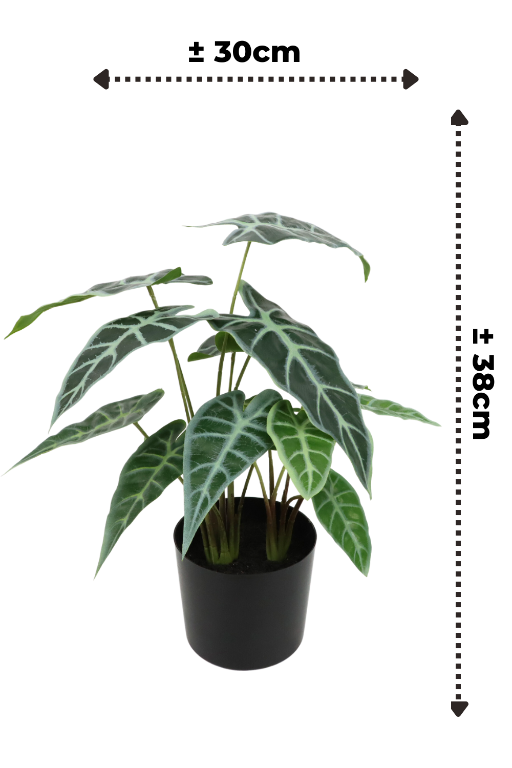 afmetingen caladium kunstplant 38cm