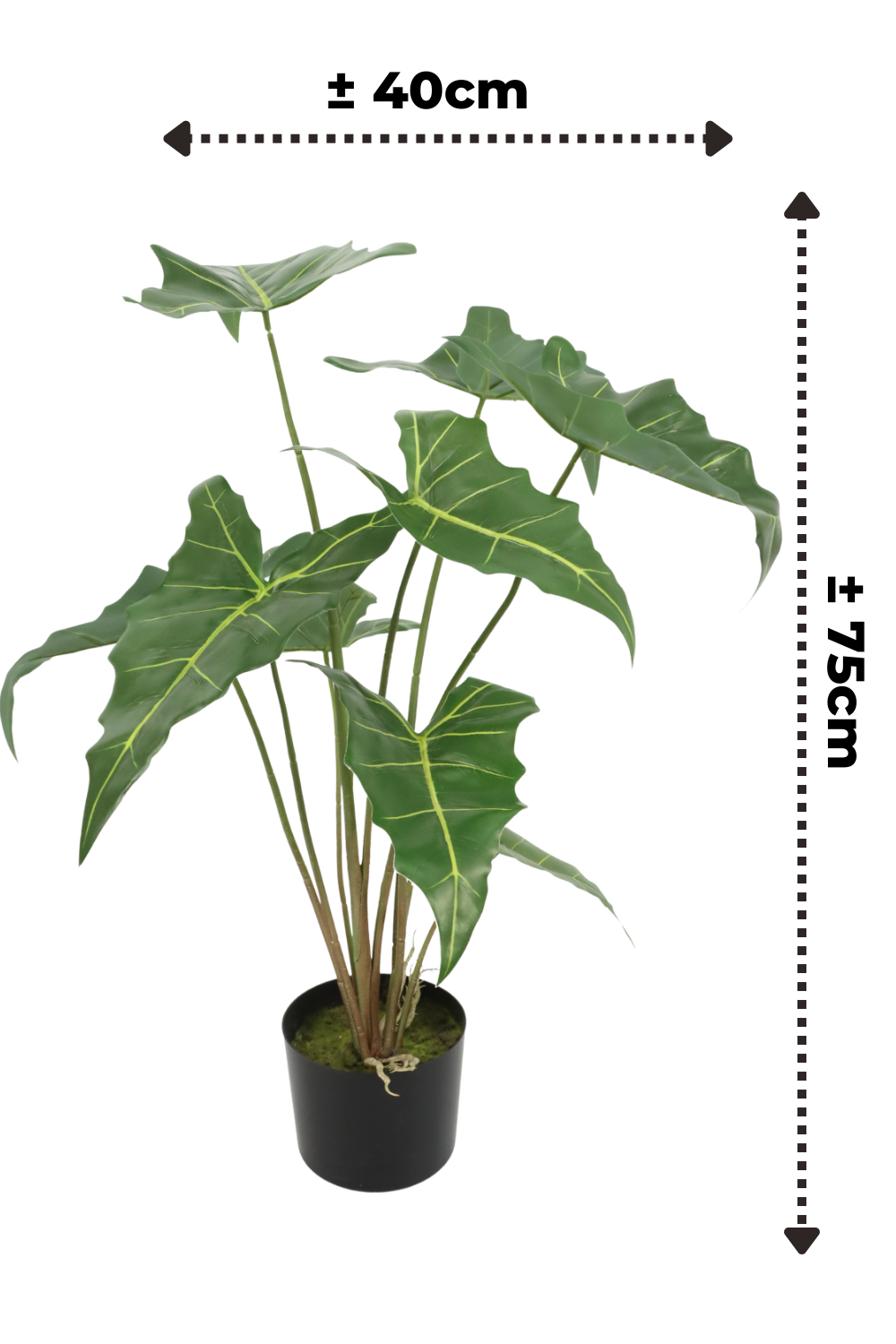 afmetingen alocasia kunstplant 75cm