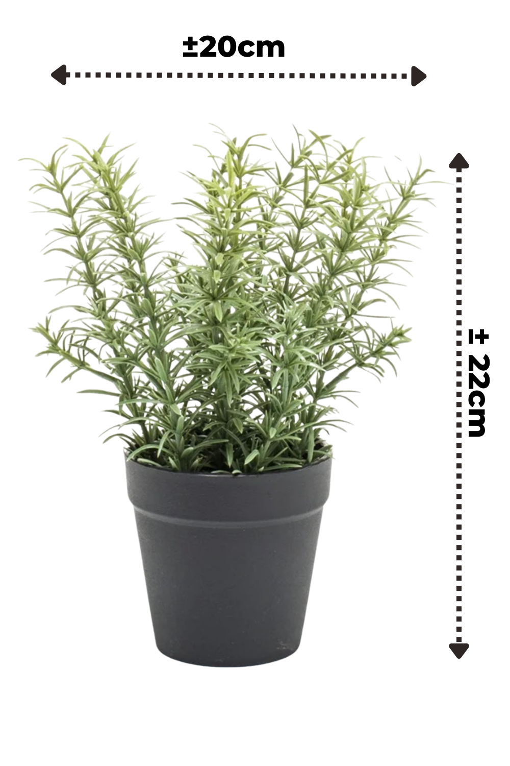 afmetingen Tijm Kunstplant 23cm