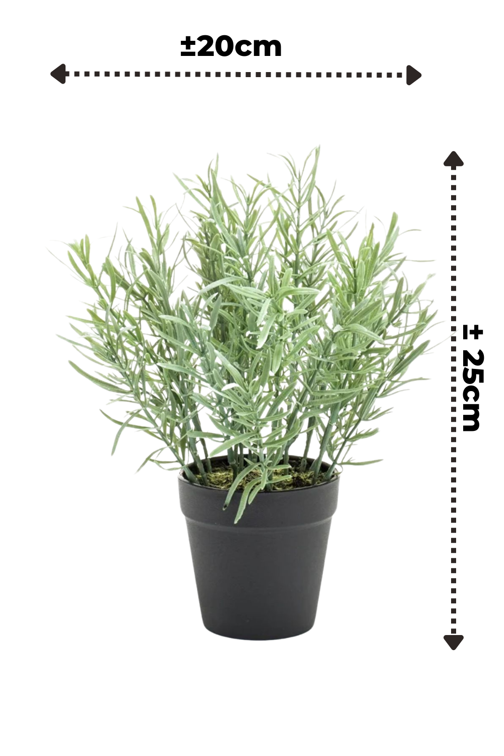 Afmetingen Rozemarijn kunstplant 25cm
