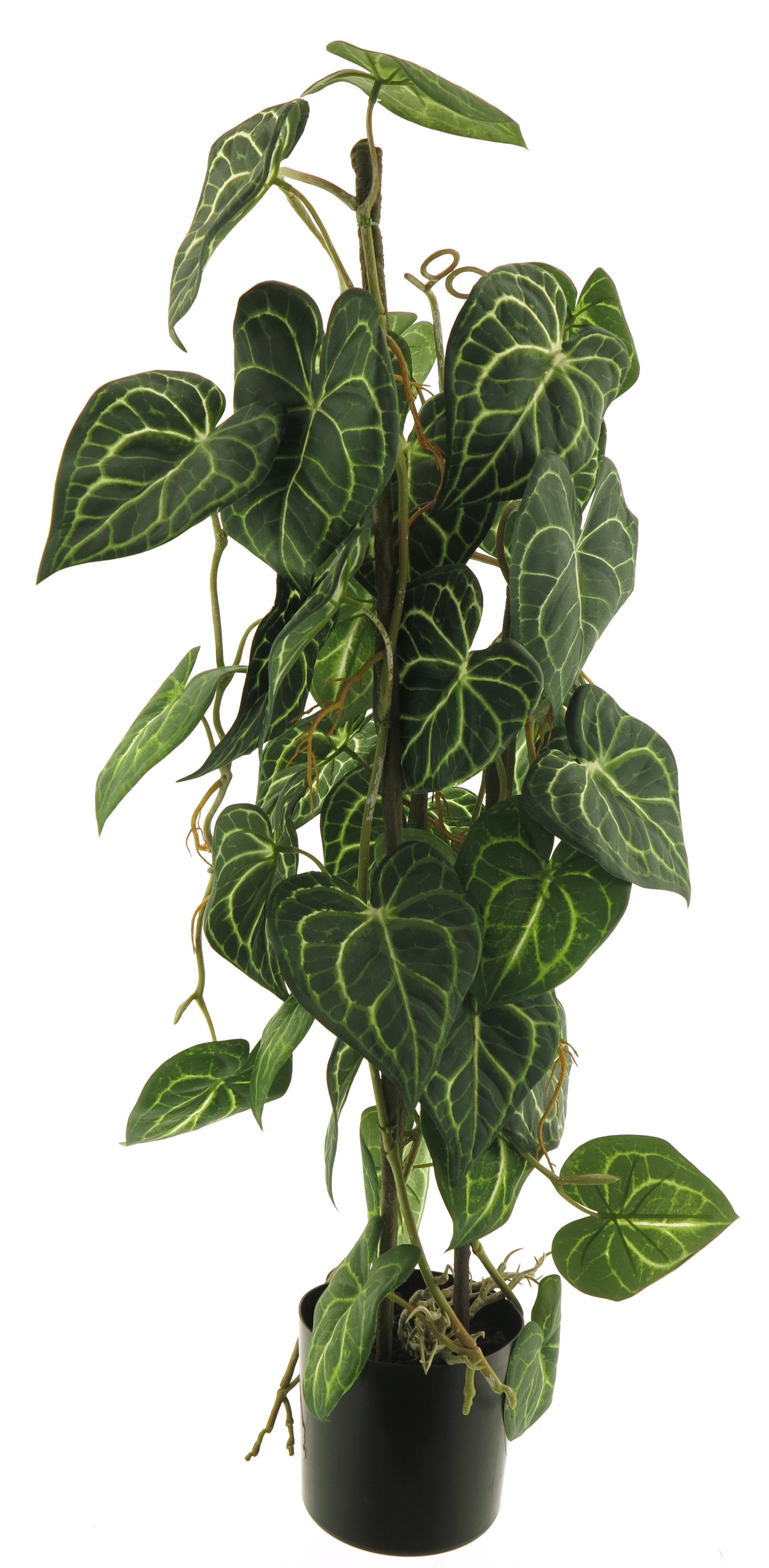 Anthurium Alba Kunstplant 80cm
