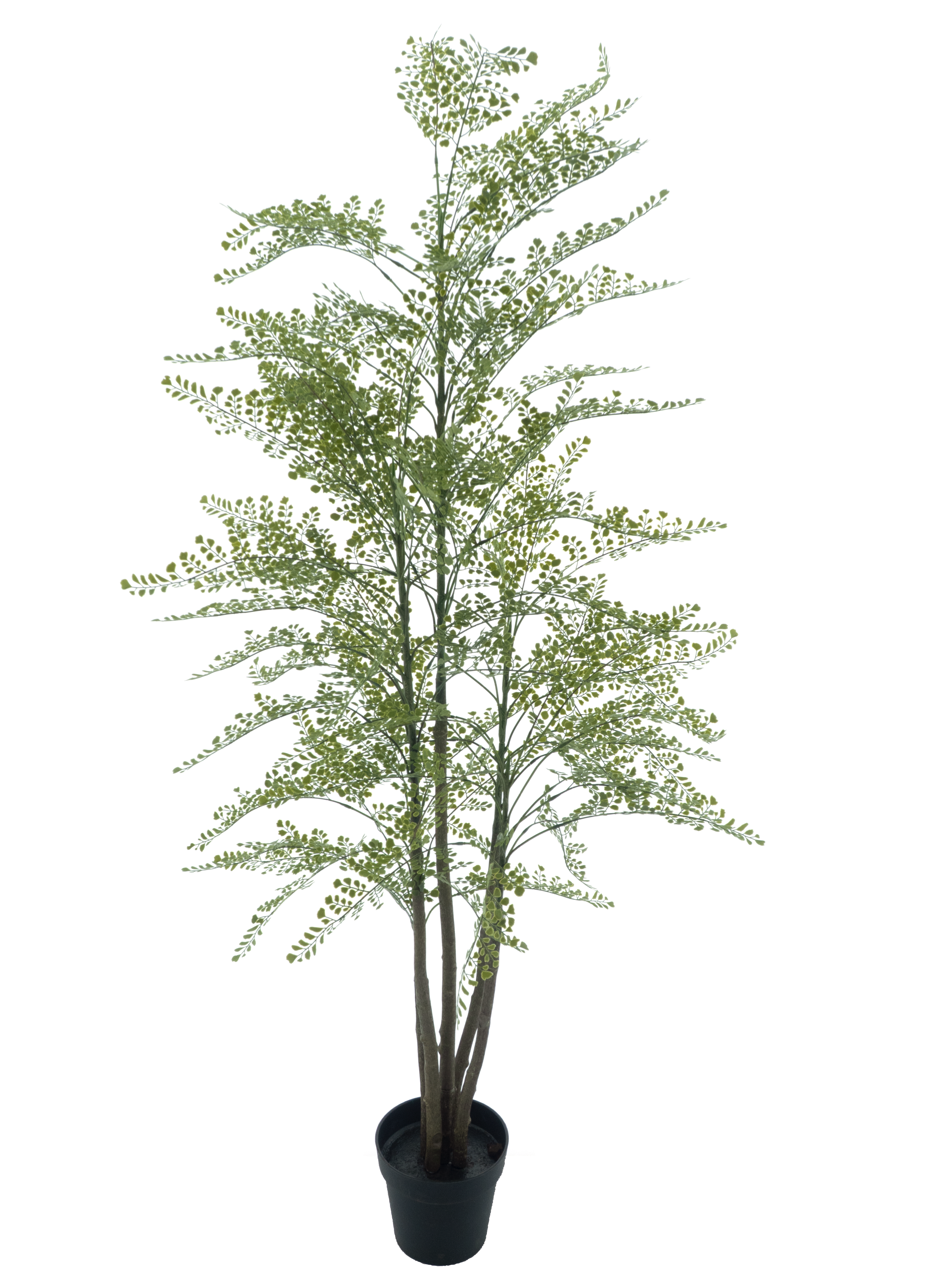 Maidenhair Varen Kunstplant 180cm