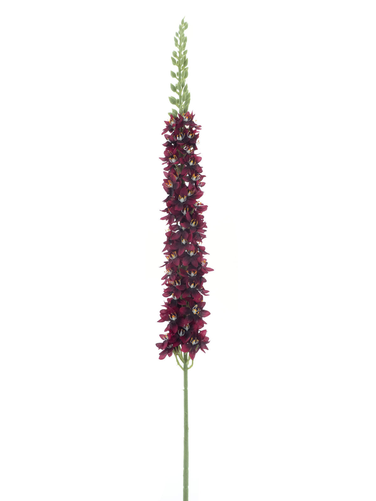 Eremurus Kunstbloem Rood 105cm
